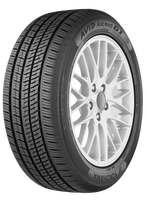 Avid Ascend GT- 245/45R18 96V