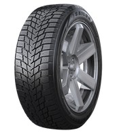 Ice Blazer WSTX - 205/50R17 93H
