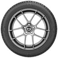 AltiMAX Arctic 12 - 205/55R16 XL 94T