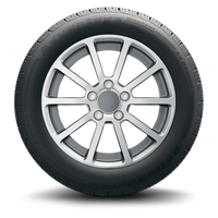 Advantage Control - 205/55R16 SL 91H